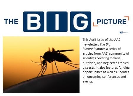 Big Picture (April 2023 issue)
