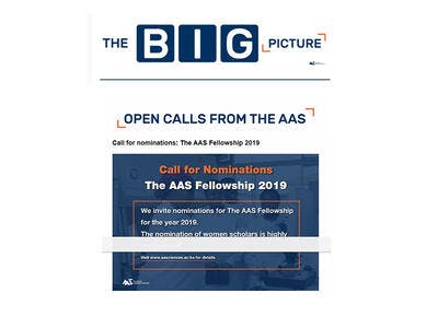 Call for nominations: The AAS Fellowship 2019 NOMINATION DETAILS Call for The AAS Affiliates 2019